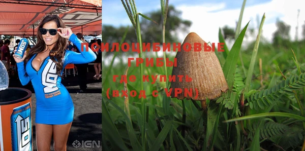 a pvp Арсеньев