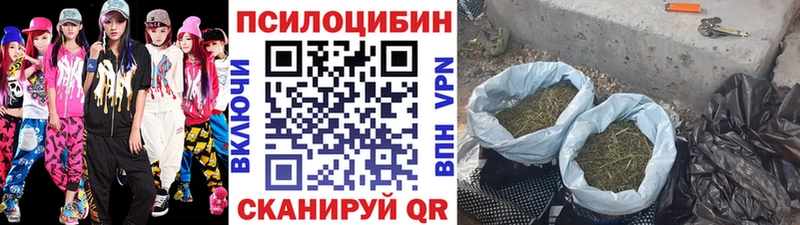 Галлюциногенные грибы MAGIC MUSHROOMS  продажа наркотиков  kraken зеркало  Михайлов 